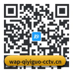 安卓版 Android 二维码